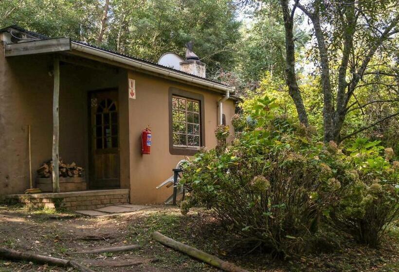 스탠다드 스튜디오 (전망), Away With The Fairies Nature Lodge And Backpackers