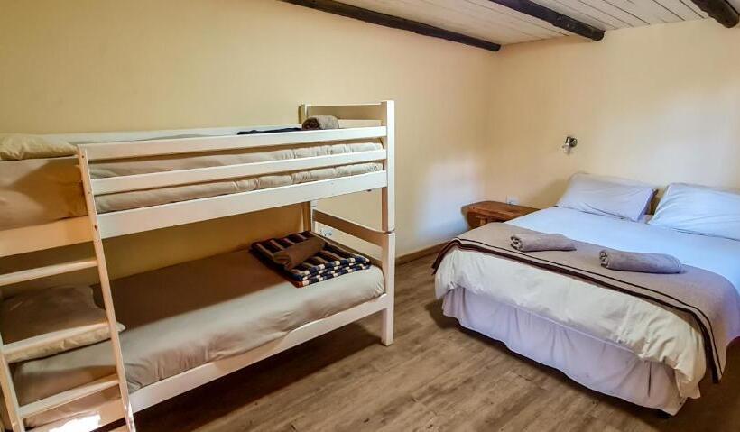 스탠다드 스튜디오 (전망), Away With The Fairies Nature Lodge And Backpackers