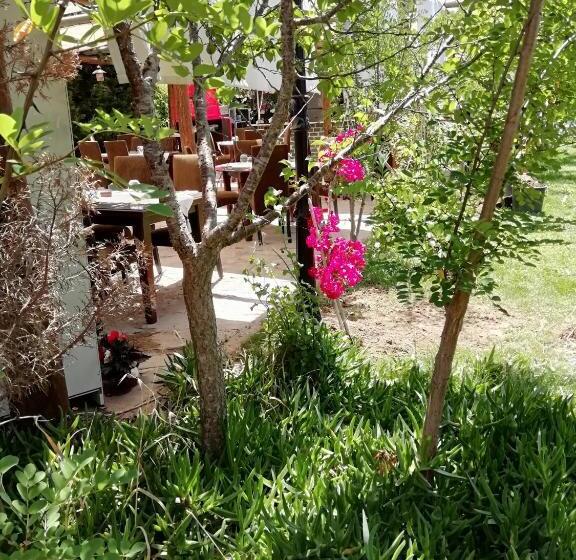 Трехместный Номер Базовый, Green House Boğaziçi – Dodo House