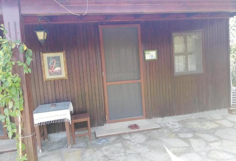Номер Стандарт, Green House Boğaziçi – Dodo House