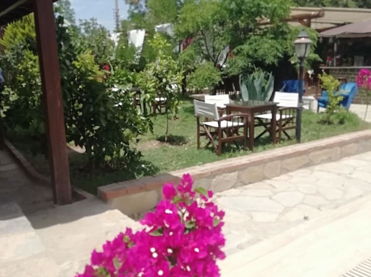 Номер Стандарт, Green House Boğaziçi – Dodo House