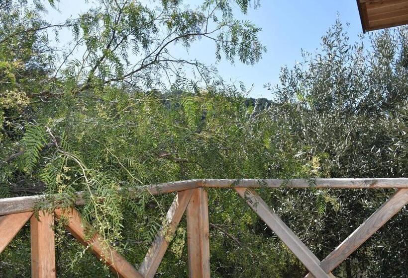 Номер Стандарт, Casa Roja