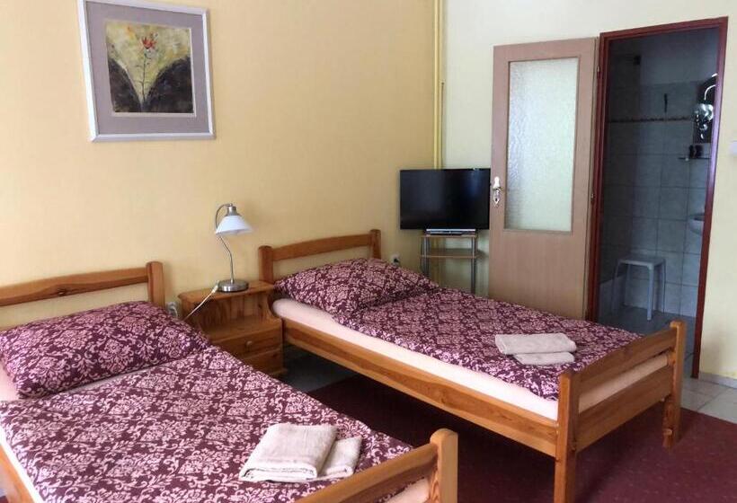 استودیو خانوادگی, Guest House U Náhonu
