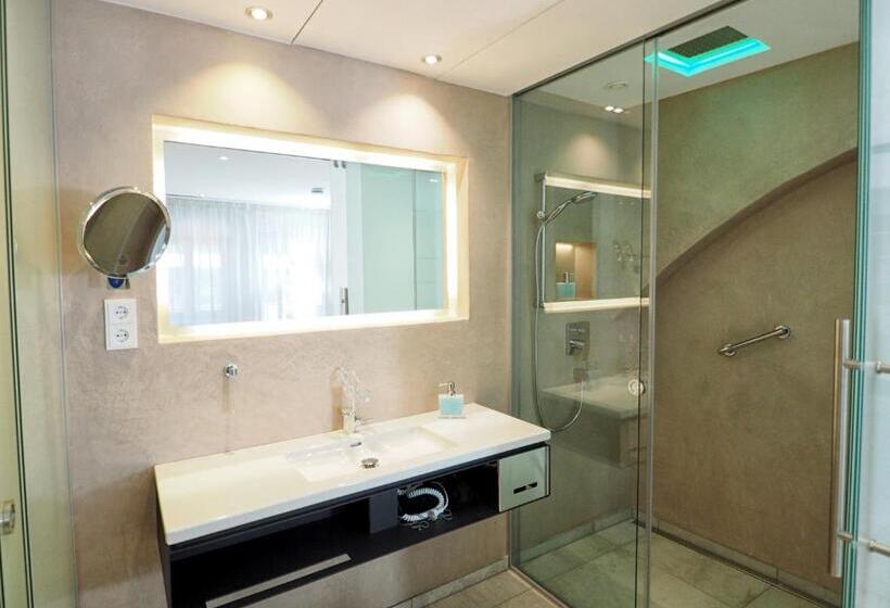 استودیو استاندارد با بالکن, Passau   Suites