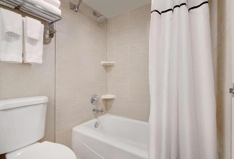 스탠다드 도시전망 룸, The Florida Hotel & Conference Center In The Florida Mall