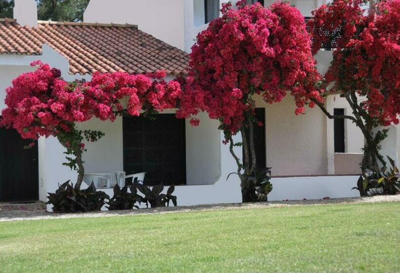 استودیوی استاندارد, Pedras Da Rainha