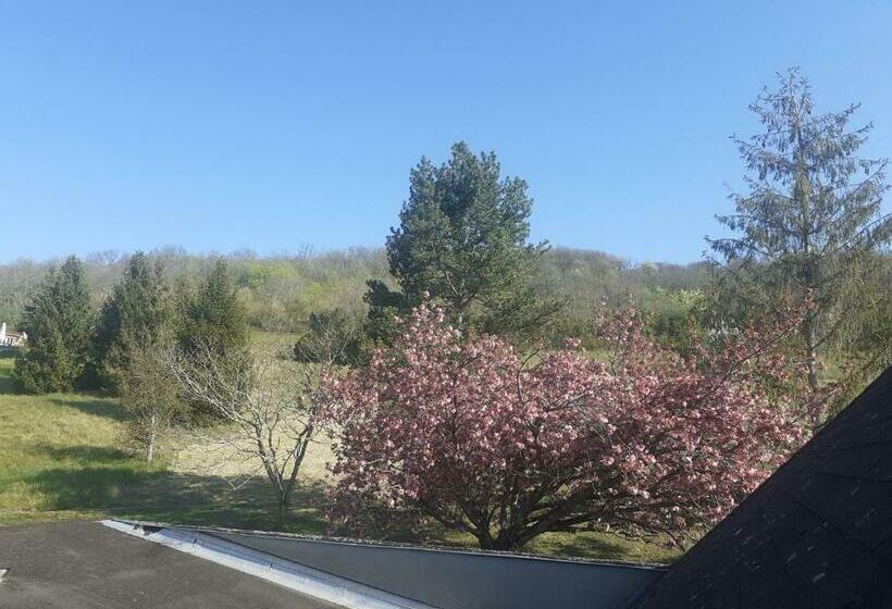 Номер Стандарт, Domaine Foray