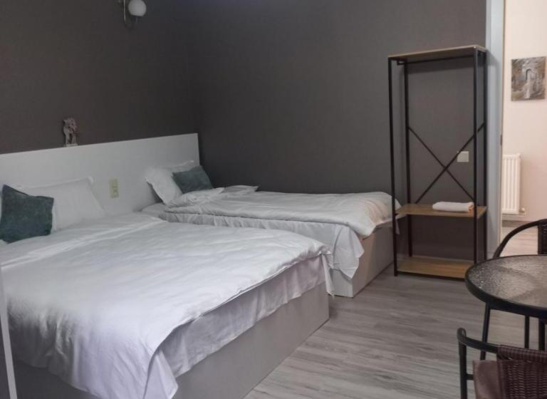 اتاق خانوادگی, Ira & Vaso S Guest House Borjomipark