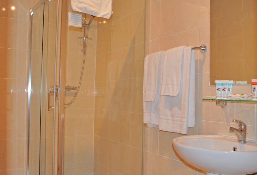 اتاق استاندارد یک نفره, Baggot Court Townhouse