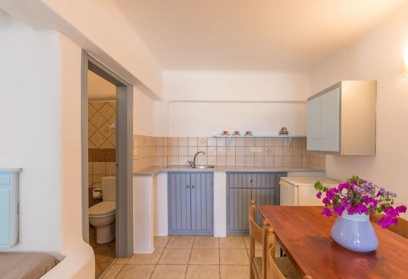 Classic studio with terrace, Villa Konstantin