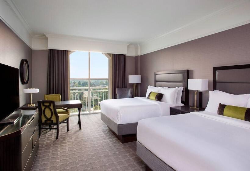 اتاق لوکس, The Ballantyne, A Luxury Collection Hotel, Charlotte
