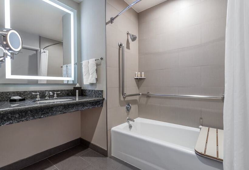 Номер Стандарт Адаптированный для Инвалидов, Crowne Plaza Hotel Los Angeles Harbor, An Ihg