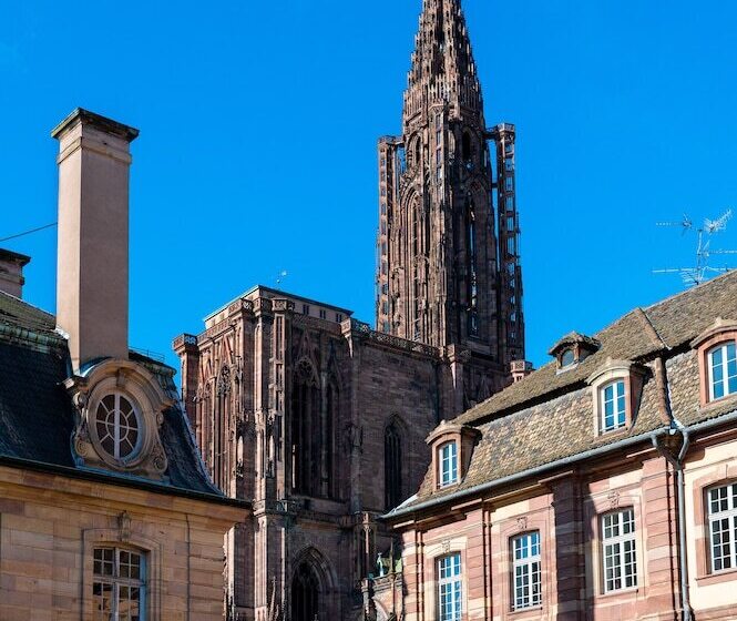 سوئیت جونیور با چشم‌انداز, Suisse