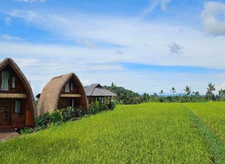 小室, Cabé Bali