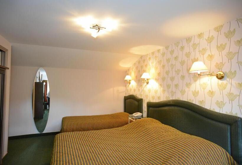 اتاق استاندارد سه نفره, Hôtel De La Croix D Or
