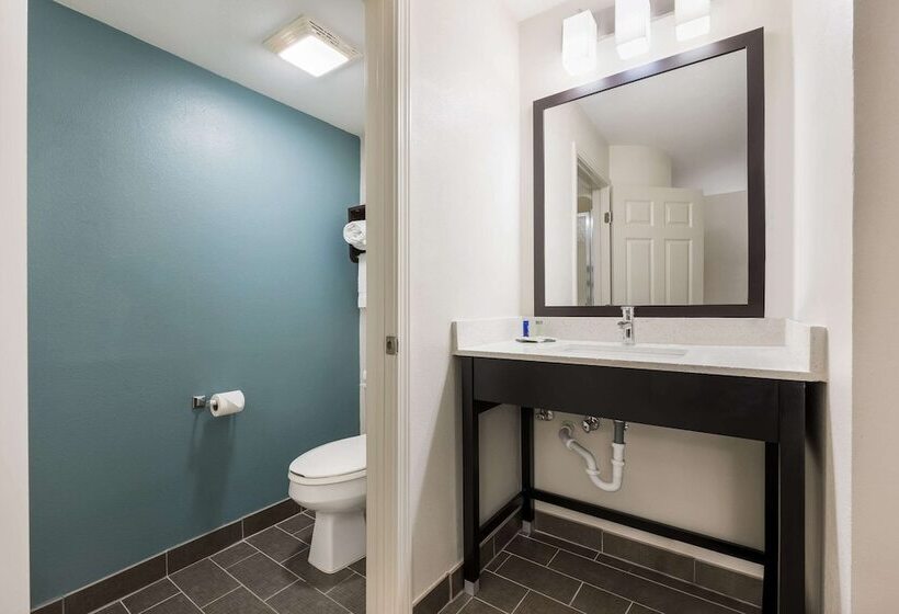 스탠다드 룸 더블 침대 2개, Sleep Inn & Suites Cullman I 65 Exit 310