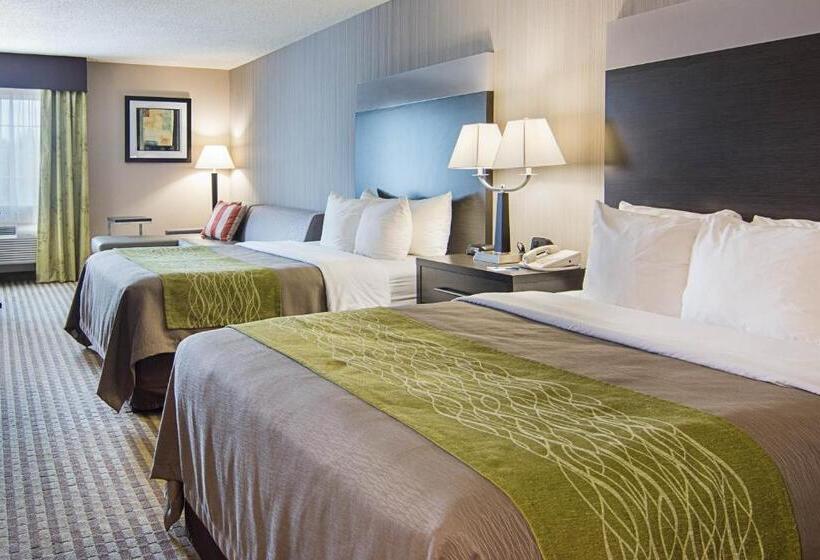 Номер Стандарт, Comfort Inn Camden
