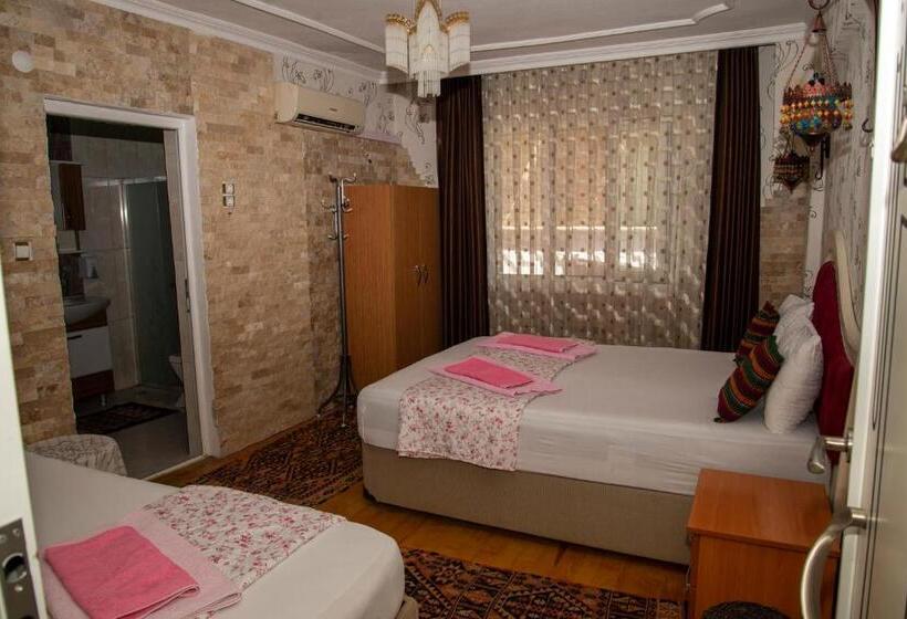 ベーシックトリプルルーム, Sinter Terasse House