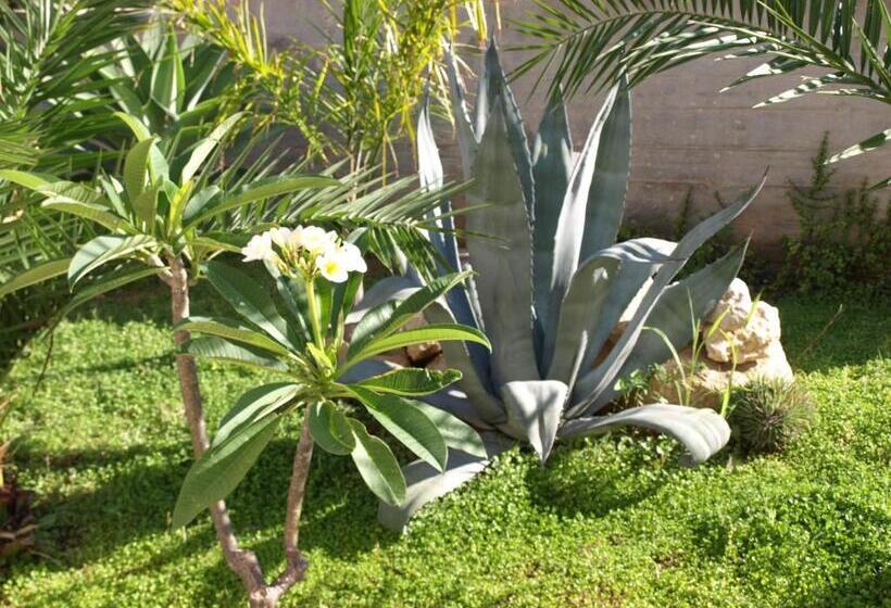 اتاق استاندارد, Guesthouse Anchise 38