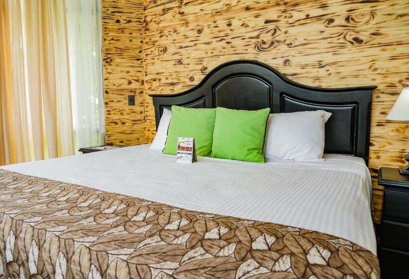 اتاق لوکس, Montana De Fuego All Inclusive