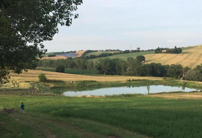 Апартаменты 1 Спальня, Agriturismo Fattoria Del Colle