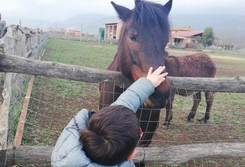 스탠다드 룸, Casale Cavatella