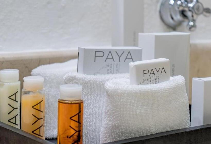 سوییت, Desire Riviera Maya Resort All Inclusive   Couples Only