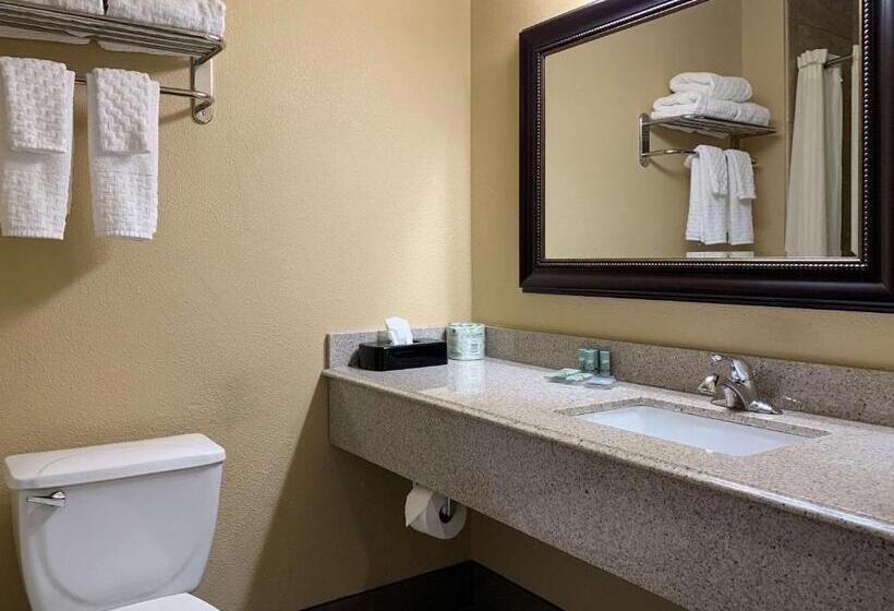 스탠다드 룸 킹사이즈 침대, Comfort Inn Saint Paul East