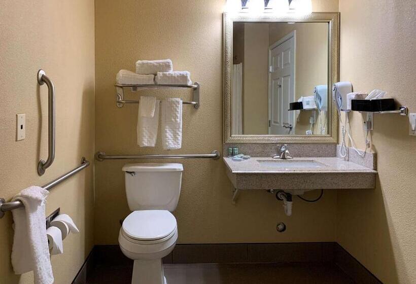 장애인을 위한 킹사이즈 침대 스탠다드 룸, Comfort Inn Saint Paul East