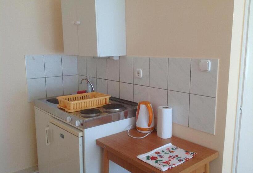 استودیو استاندارد با بالکن, Attila Apartmanház