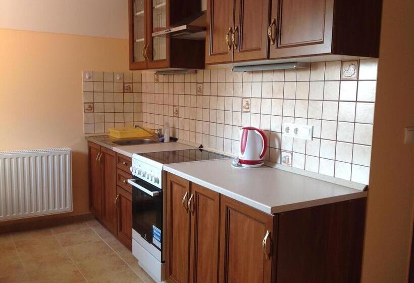 اتاق پریمیوم چهارنفره, Attila Apartmanház