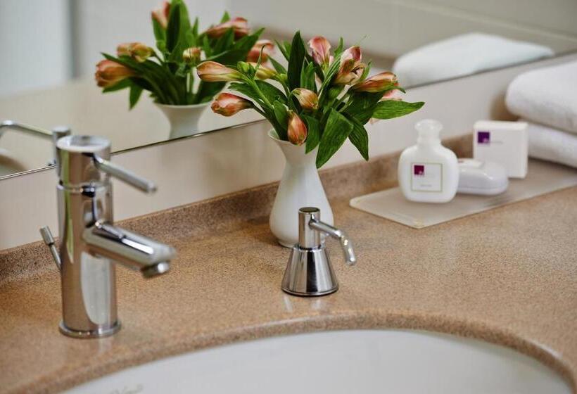 اتاق سوپریور, In Hotel Beograd