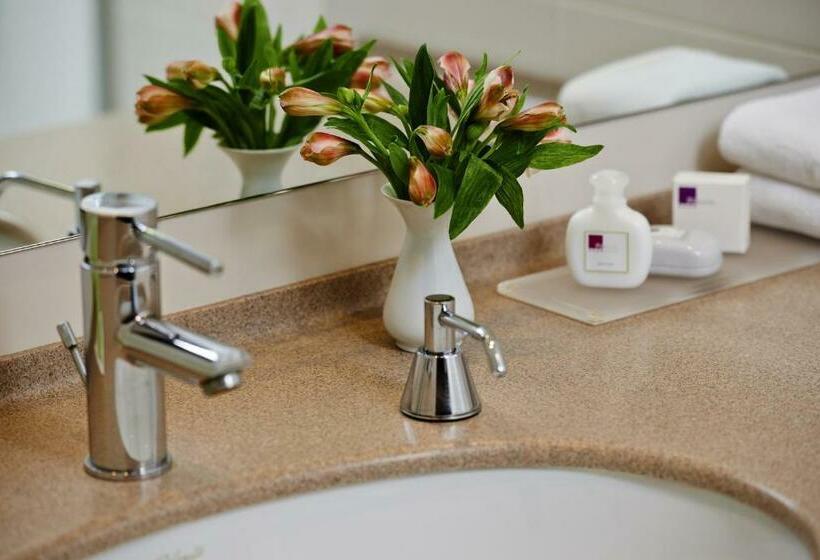 اتاق استاندارد یک نفره, In Hotel Beograd