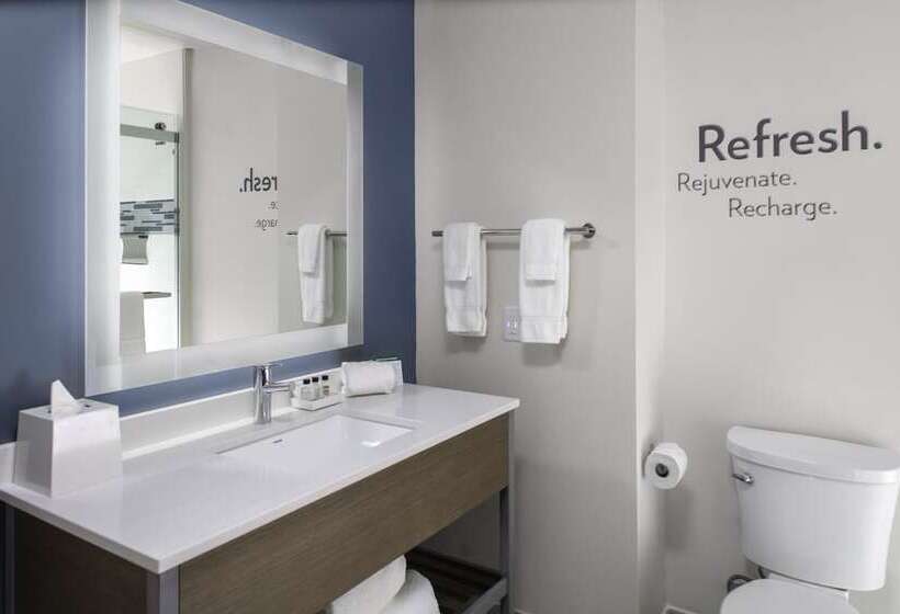 高级客房, Even Hotels   Shenandoah   The Woodlands, An Ihg