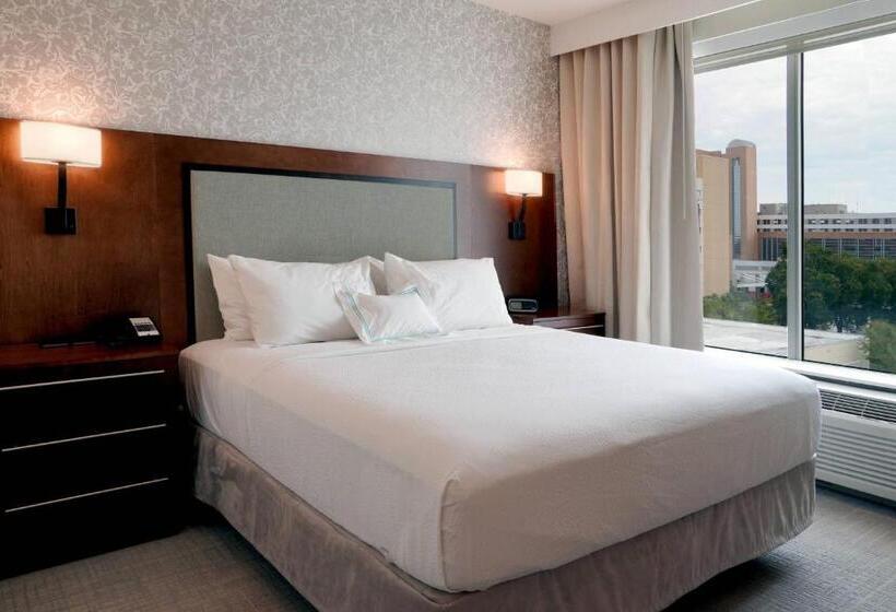 Студио Стандарт Кровать Кинг, Towneplace Suites By Marriott Orlando Downtown