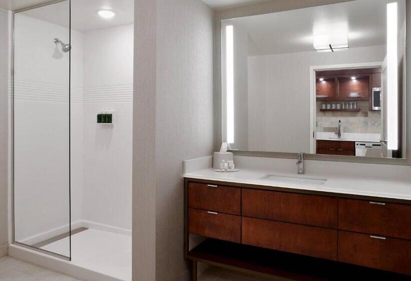 Люкс Кровать Кинг, Towneplace Suites By Marriott Orlando Downtown