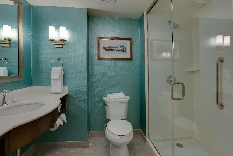 اتاق استاندارد با تخت بزرگ, Hilton Garden Inn Daytona Beach Oceanfront