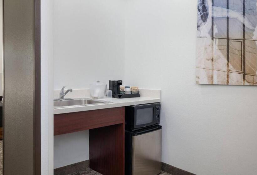 スイート, Springhill Suites By Marriott Williamsburg