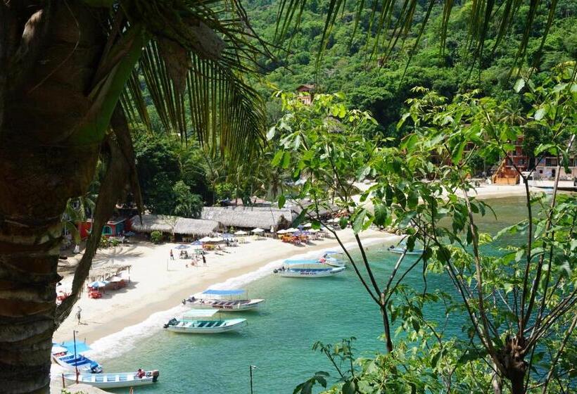 Familjesvit, Puerto Vallarta South Shore Luxury Suites