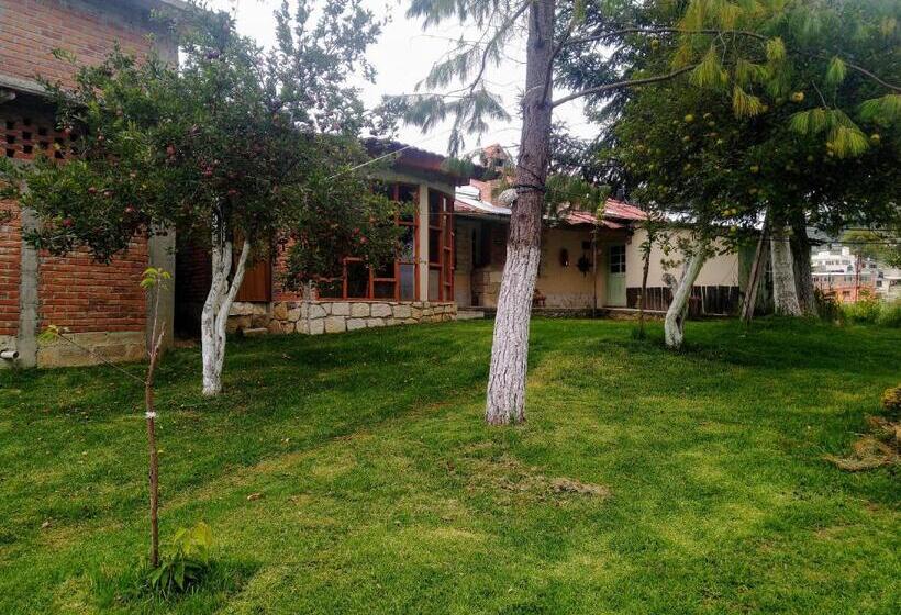 스탠다드 룸, Rincón Del Real