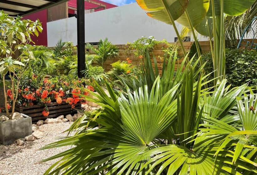 إستوديو قياسى مزودة بتراس, Casa Mantana Bonaire
