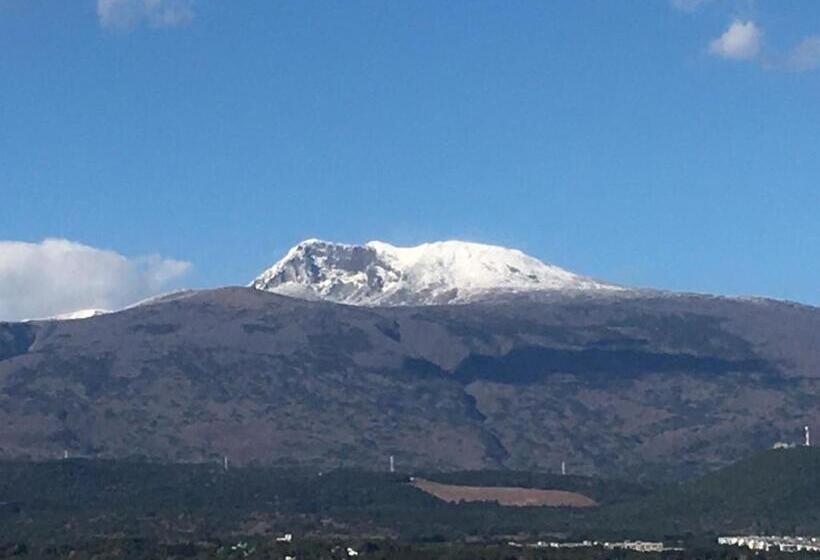 اتاق خانوادگی, Rest Seogwipo