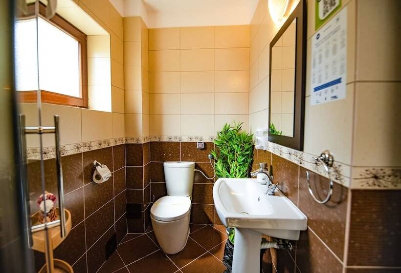 Номер Стандарт Вид на Бассейн, Casa Dives  Transylvania
