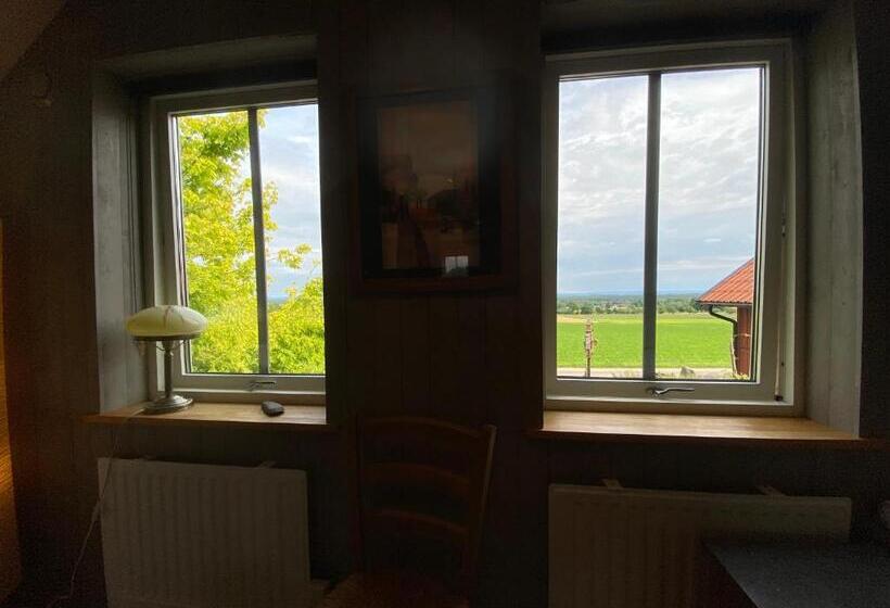 Номер Стандарт, B&b Borgunda