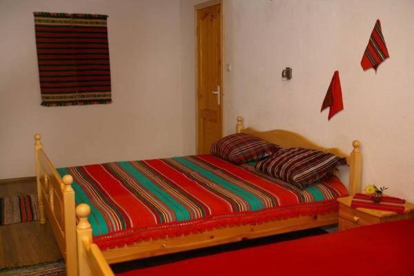 Номер Стандарт Индивидуальный с Балконом, Pelican Birding Guest House