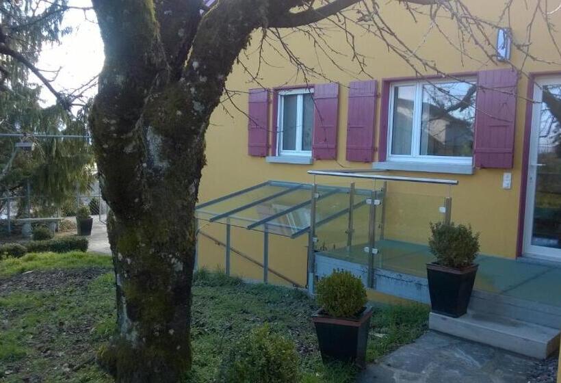 Номер Стандарт Вид на Озеро, Swiss Borzoi House