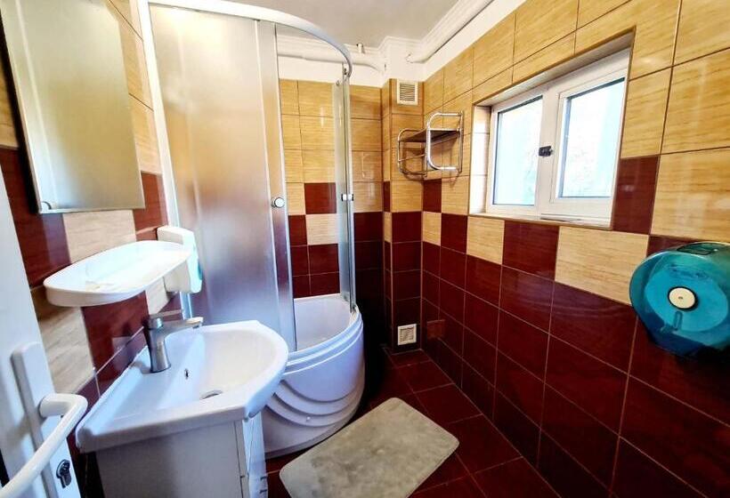 اتاق استاندارد سه نفره, Vila Giulia Voineasa