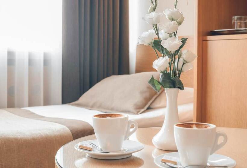 اتاق استاندارد, Premier Hotel Rus
