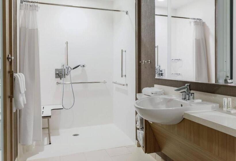 带大床的套房, Springhill Suites By Marriott Truckee