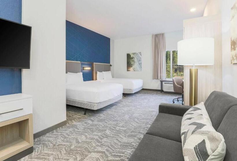 适合残疾人士使用的套间, Springhill Suites By Marriott Truckee